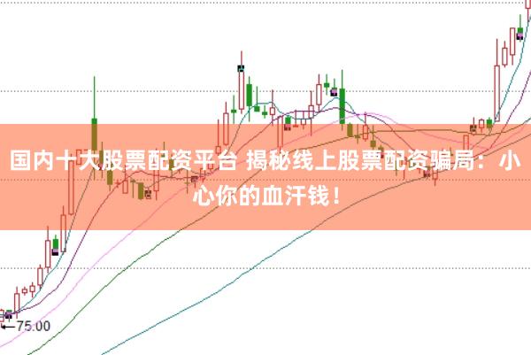 国内十大股票配资平台 揭秘线上股票配资骗局：小心你的血汗钱！