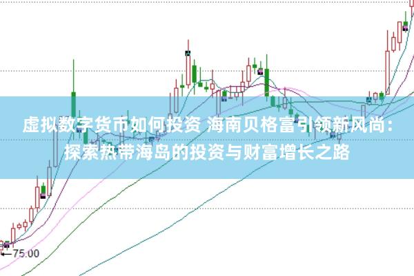 虚拟数字货币如何投资 海南贝格富引领新风尚：探索热带海岛的投资与财富增长之路