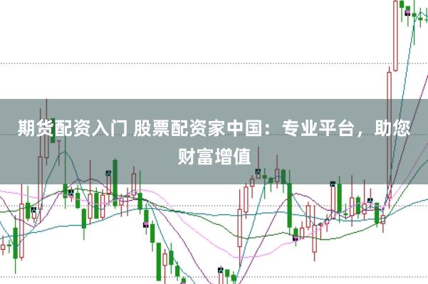 期货配资入门 股票配资家中国：专业平台，助您财富增值