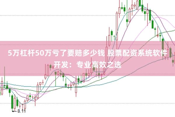 5万杠杆50万亏了要赔多少钱 股票配资系统软件开发：专业高效之选