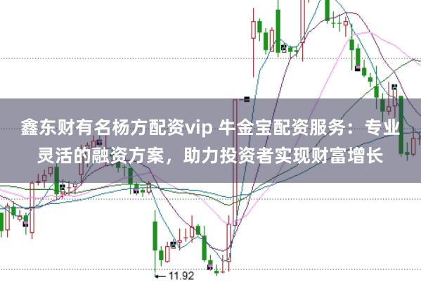 鑫东财有名杨方配资vip 牛金宝配资服务：专业灵活的融资方案，助力投资者实现财富增长