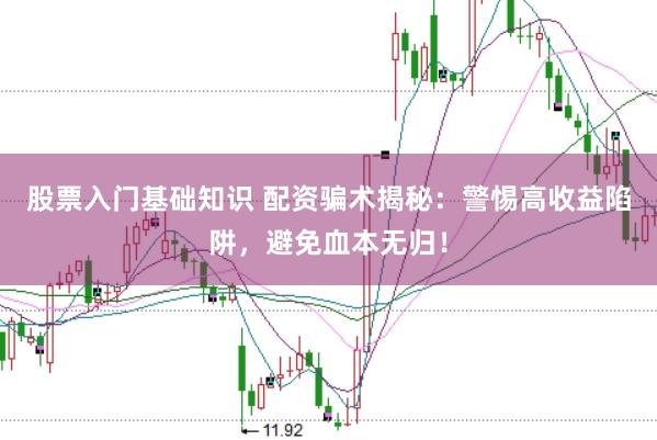 股票入门基础知识 配资骗术揭秘：警惕高收益陷阱，避免血本无归！